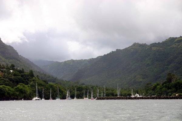 Meeting up with lots of old friends who have crossed the Pacific Ocean with us.